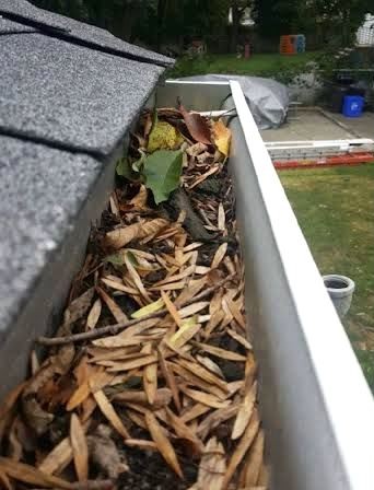 Gutter clogged with leaves and debris before cleaning in Utah